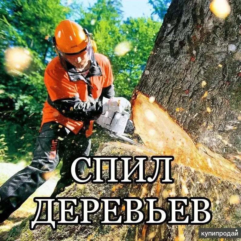 Услуги по спилу деревьев и уборке участка в Барнауле - Благоустройство территории (Услуги) в Барнаул