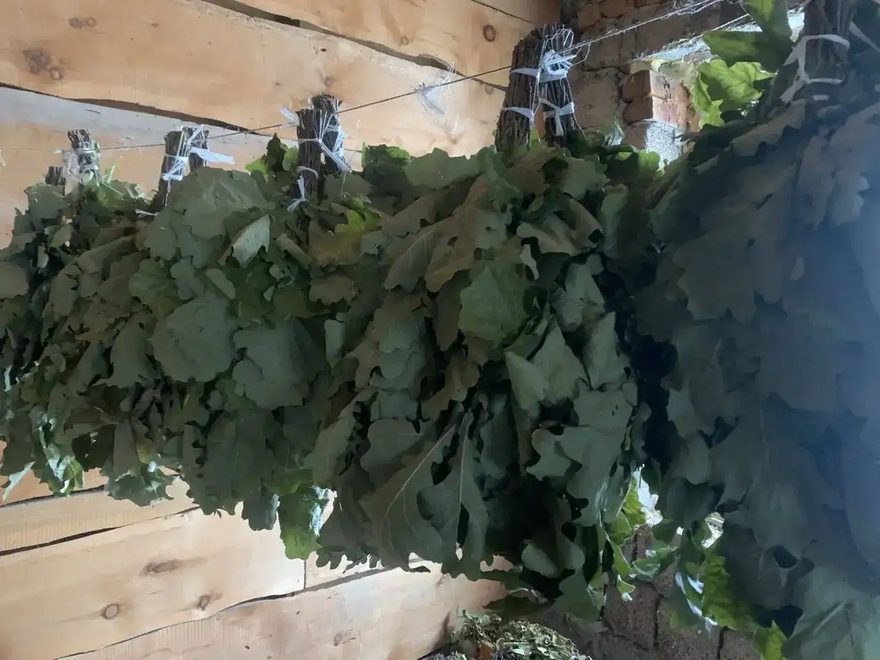 Дубовые веники в наличии - Барахолка в Барнаул