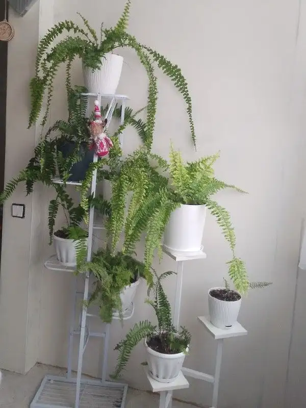 Металлическая подставка для цветов на 9 горшков - Мебель для дома (Для дома и дачи) в Барнаул