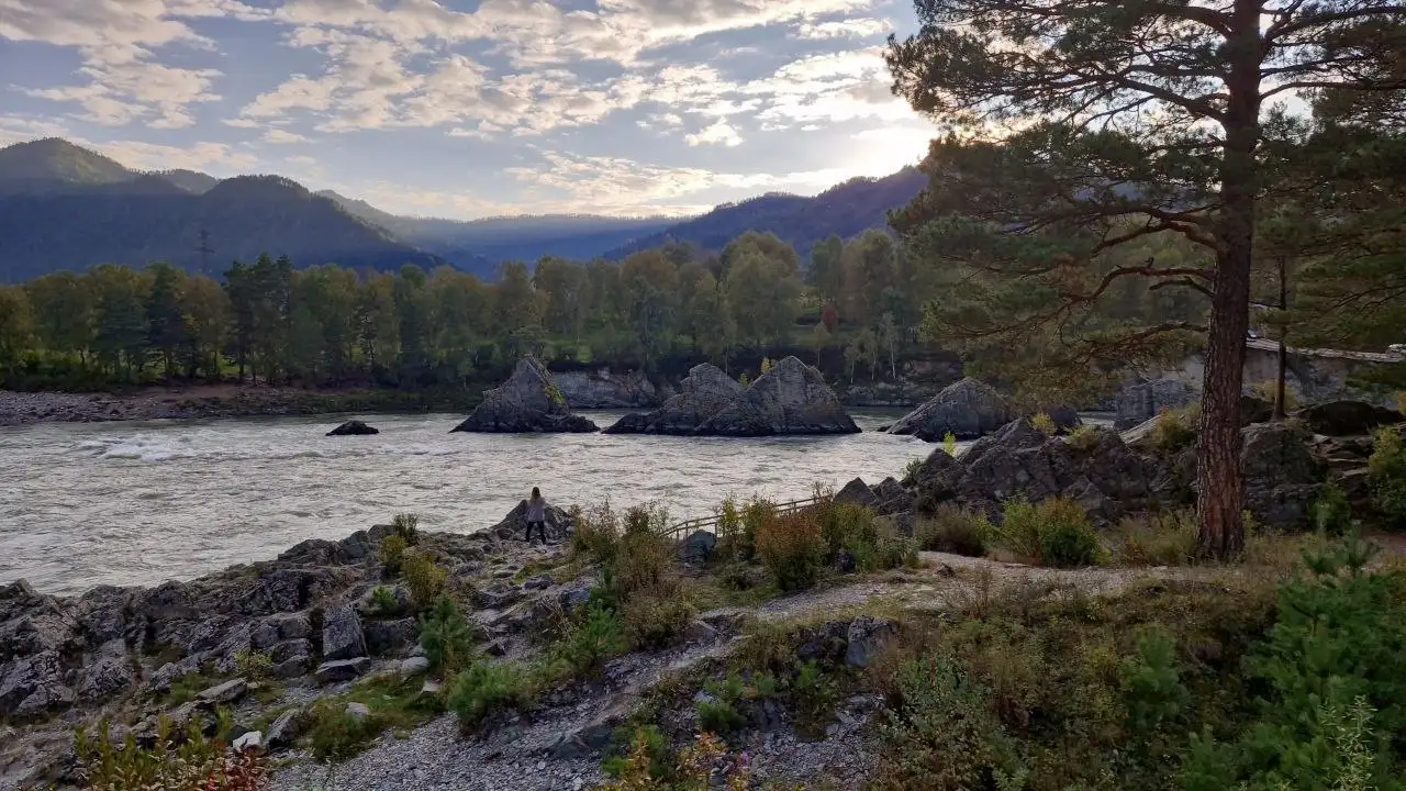 Комфортабельный трансфер на Toyota Noah (6 мест) - Трансфер (Услуги) в Барнаул