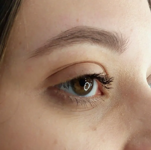 Мастер-бровист ищет моделей для портфолио - Кулинария в Барнаул