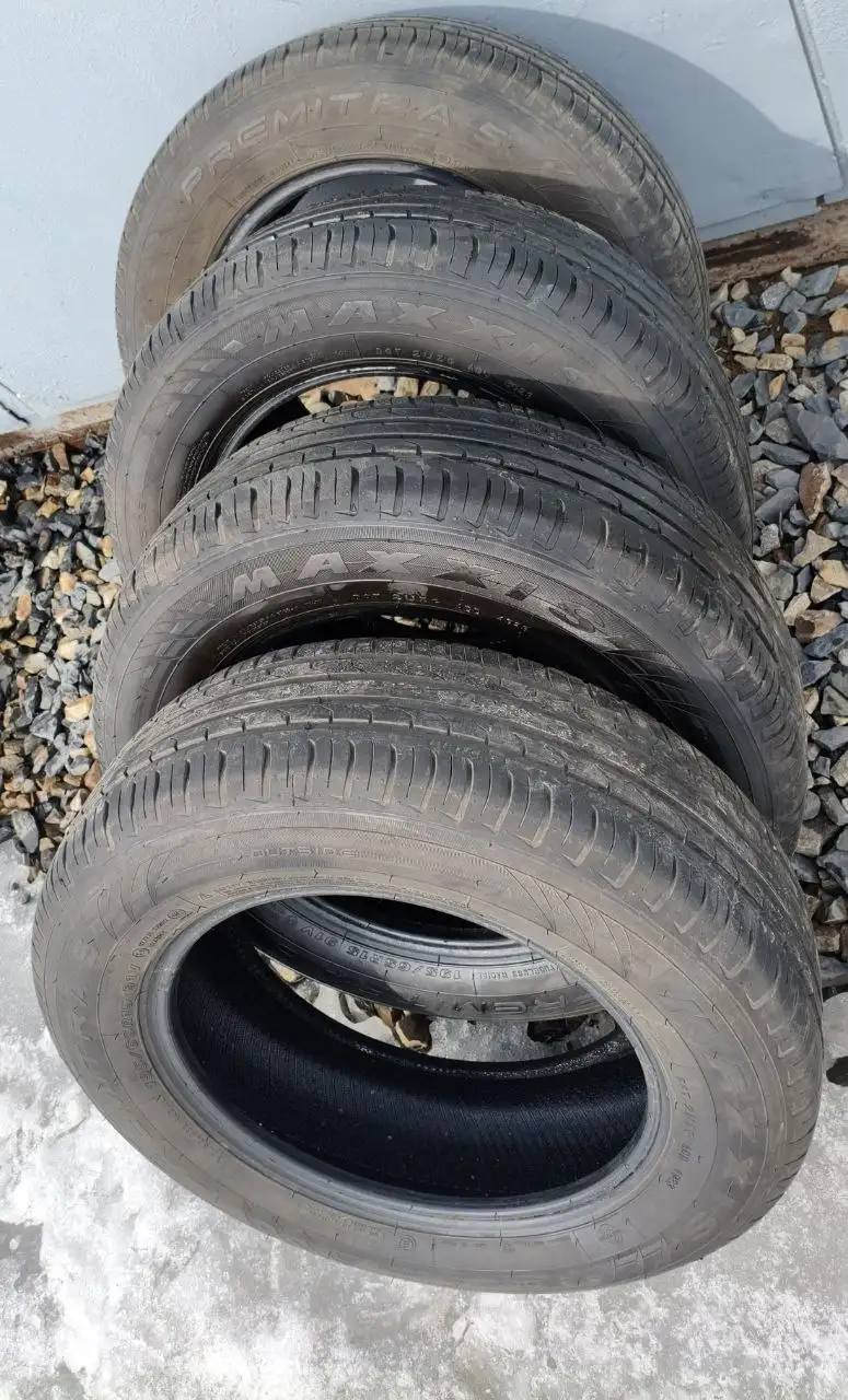 Шины летние R15 195/65 Maxxis Premitra 5 - Шины (Авто) в Барнаул