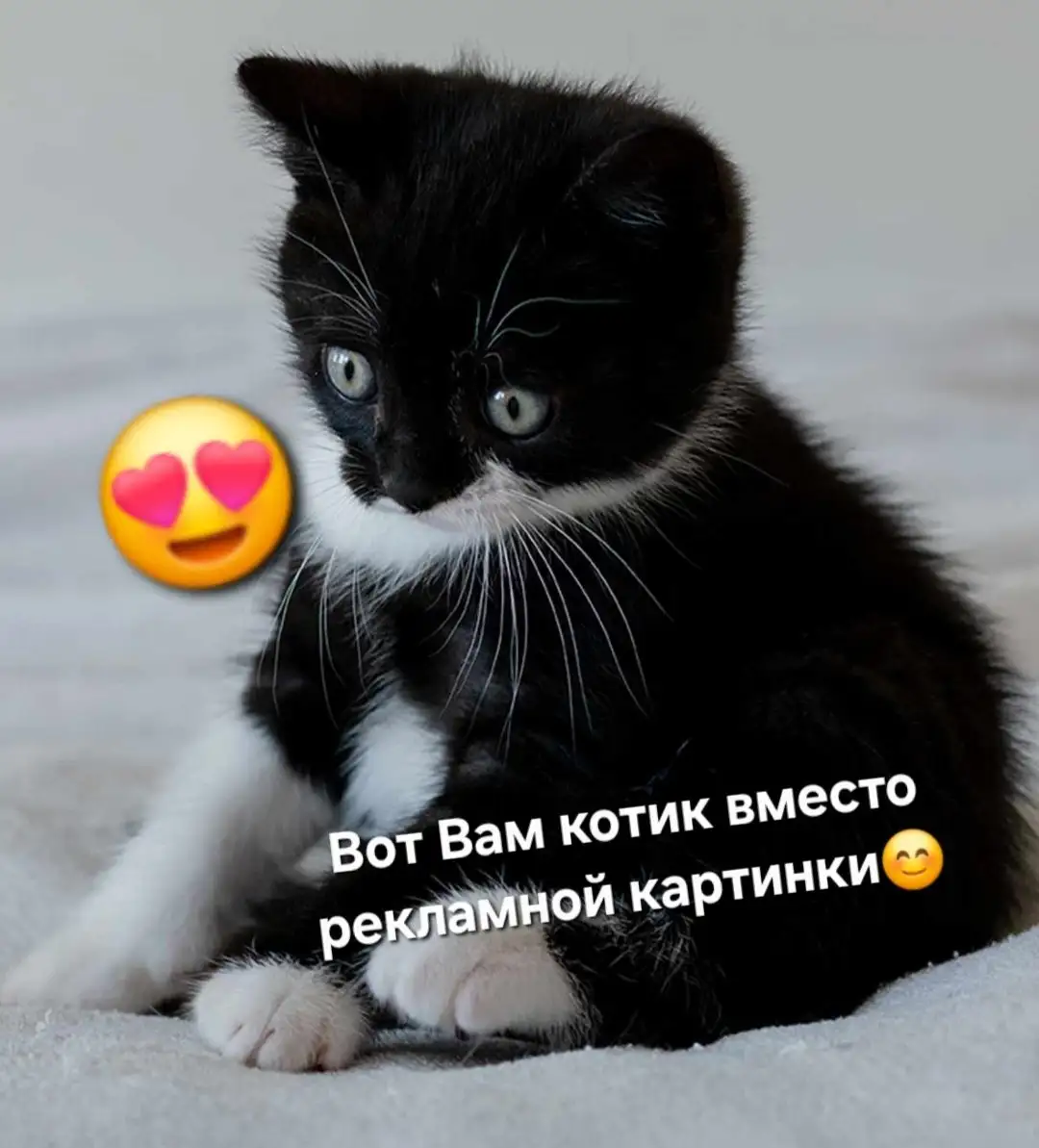 Ремонт бытовой техники - Ремонт бытовой техники (Услуги) в Барнаул