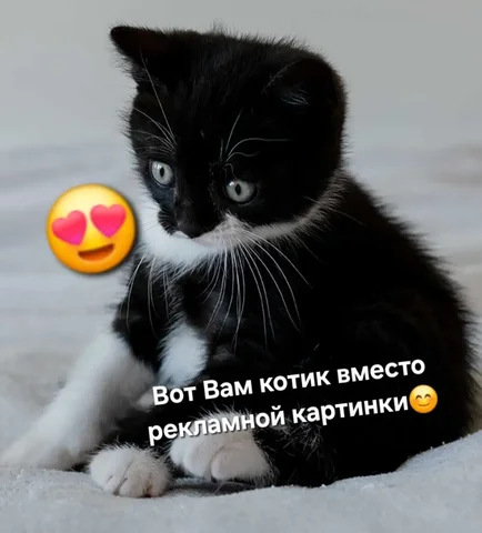 Ремонт бытовой техники - Туристические услуги в Барнаул