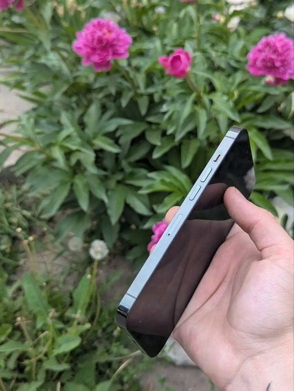 iPhone 13 Pro - Смартфоны (Электроника) в Барнаул