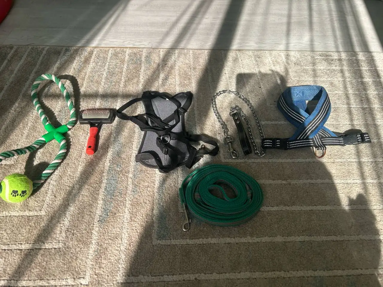 Продам игрушку, чесалку, две шлейки и два поводка для собаки - Собаки (Животные) в Барнаул