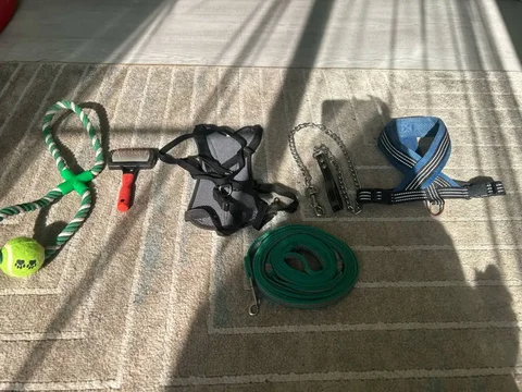Продам игрушку, чесалку, две шлейки и два поводка для собаки - Грызуны в Барнаул