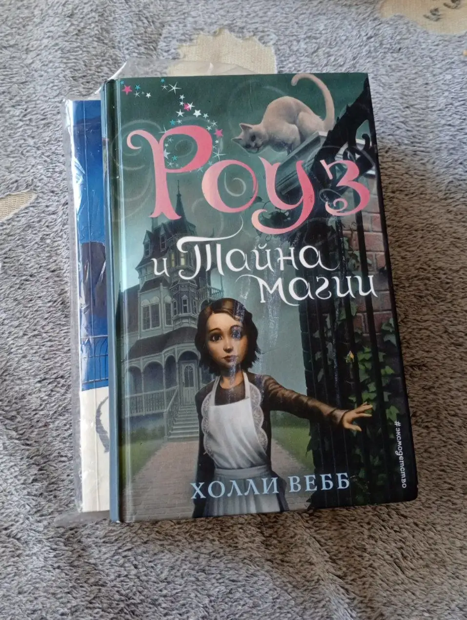 Роуз и тайна магии-500 - Книги (Хобби и отдых) в Барнаул