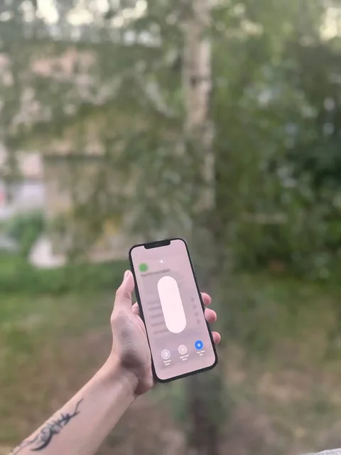 iPhone 12 Pro Max 256Gb - частное объявление в Барнаул
