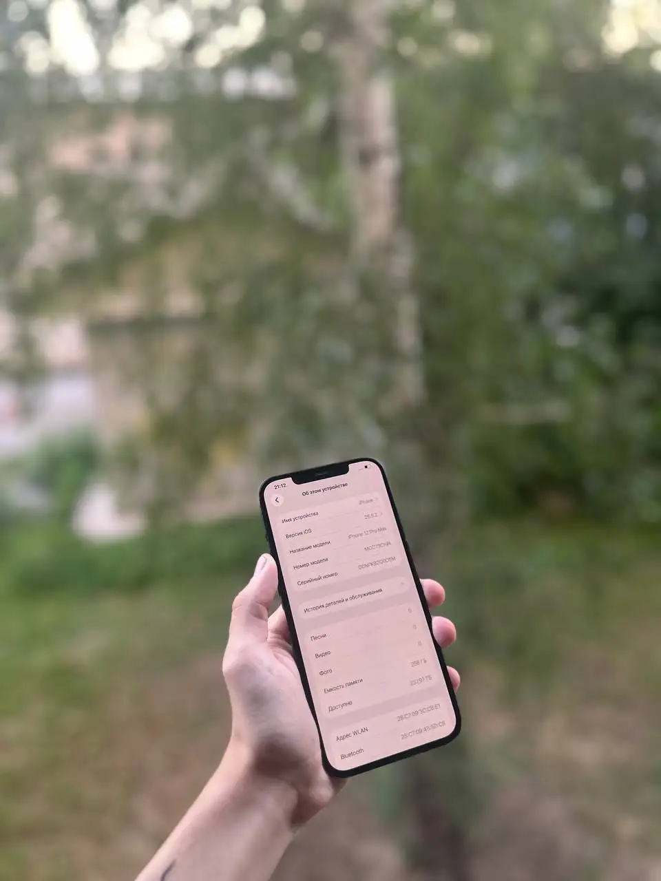 iPhone 12 Pro Max 256Gb - Смартфоны и гаджеты (Электроника) в Барнаул