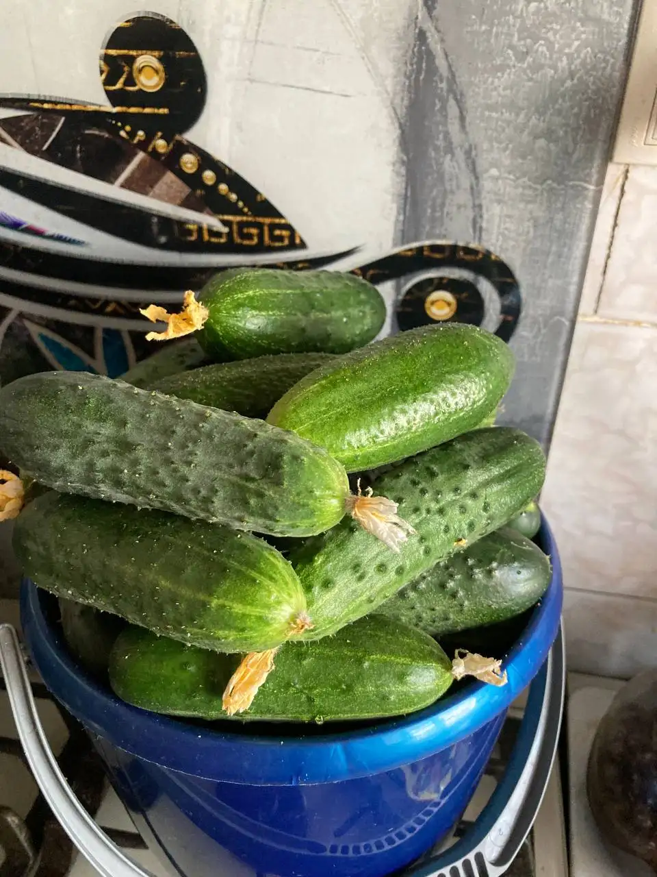 Огурцы свежие 4 кг - Продукты (Для дома и дачи) в Барнаул