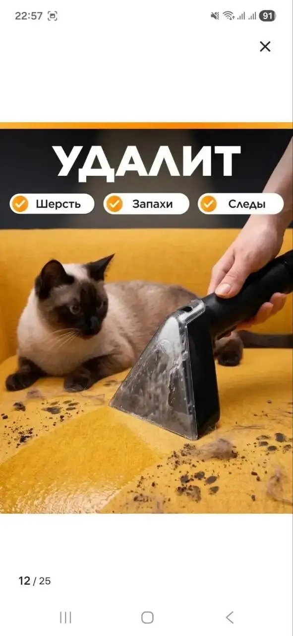 Моющий пылесос в аренду - Аренда бытовой техники (Услуги) в Барнаул