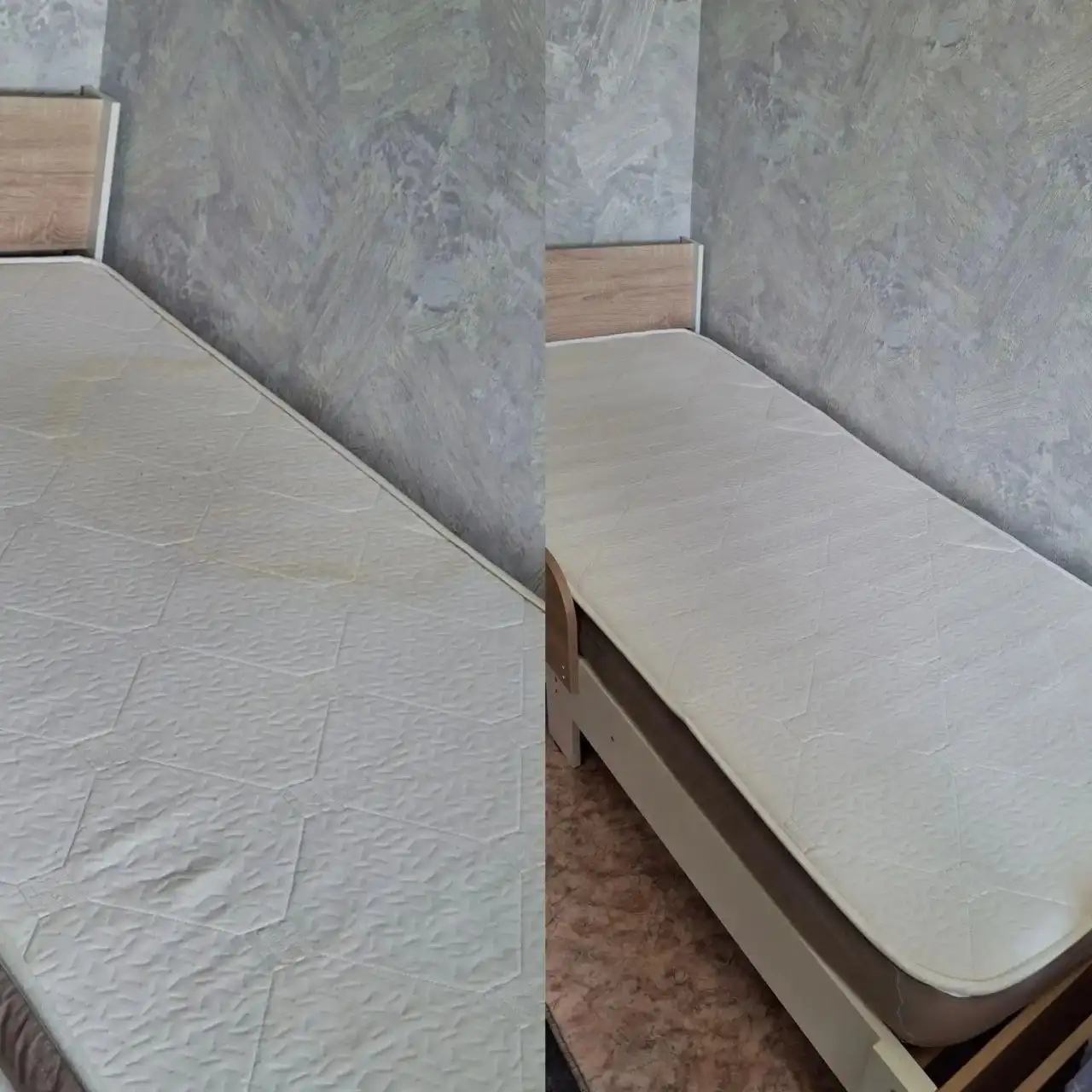 Моющий пылесос в аренду - Аренда бытовой техники (Услуги) в Барнаул