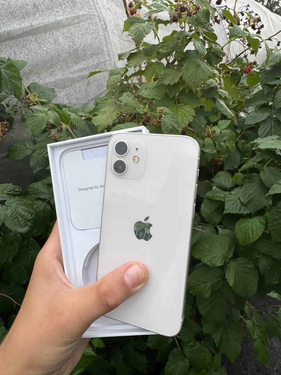 Продам iPhone 12 64GB - Смартфоны и аксессуары (Электроника) в Барнаул