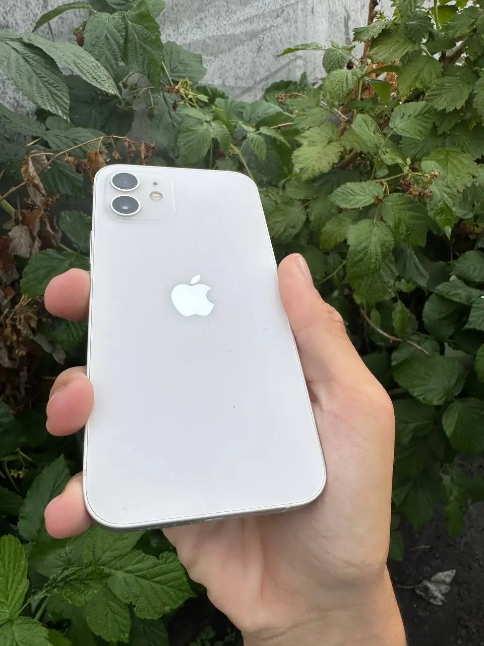 Продам iPhone 12 64GB - Смартфоны и аксессуары (Электроника) в Барнаул