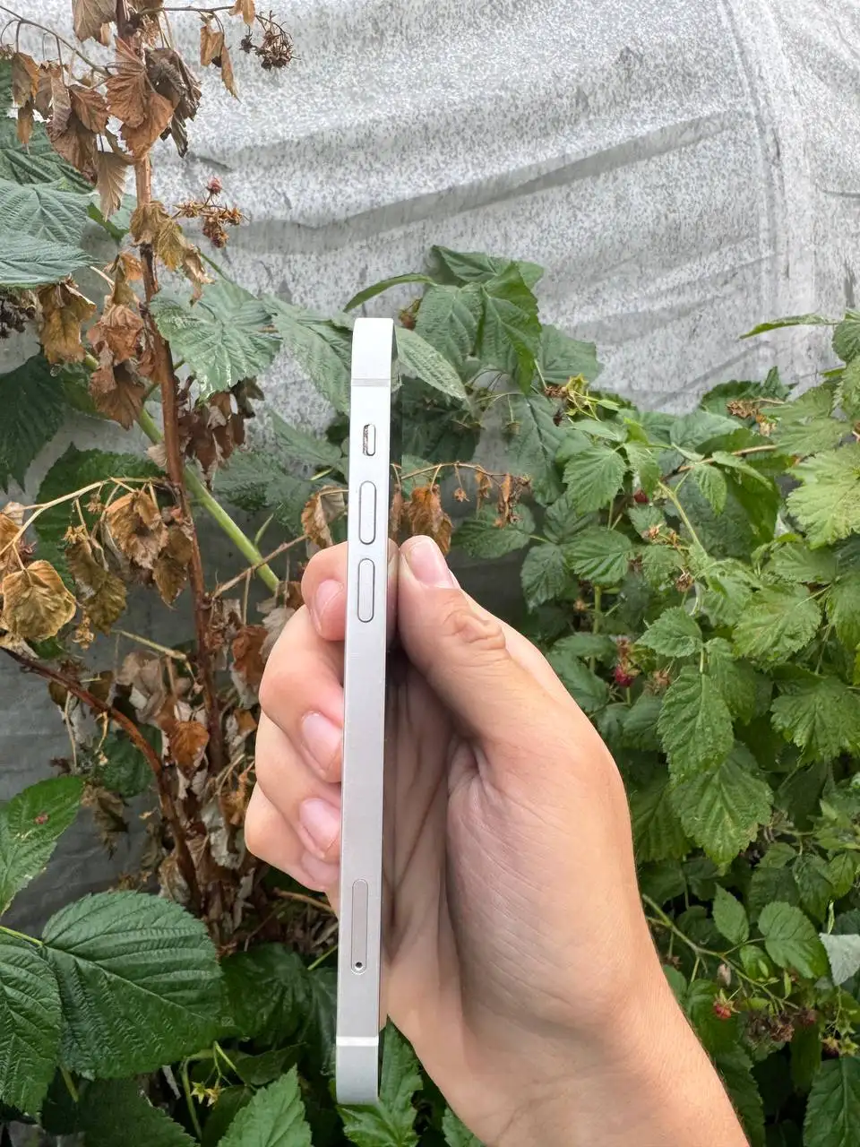 Продам iPhone 12 64GB - Смартфоны и аксессуары (Электроника) в Барнаул
