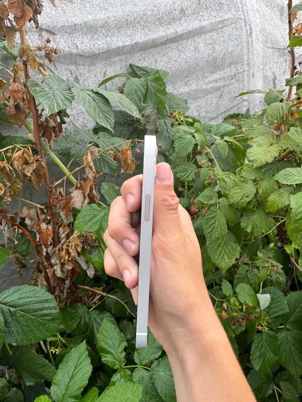 Продам iPhone 12 64GB - Смартфоны и аксессуары (Электроника) в Барнаул
