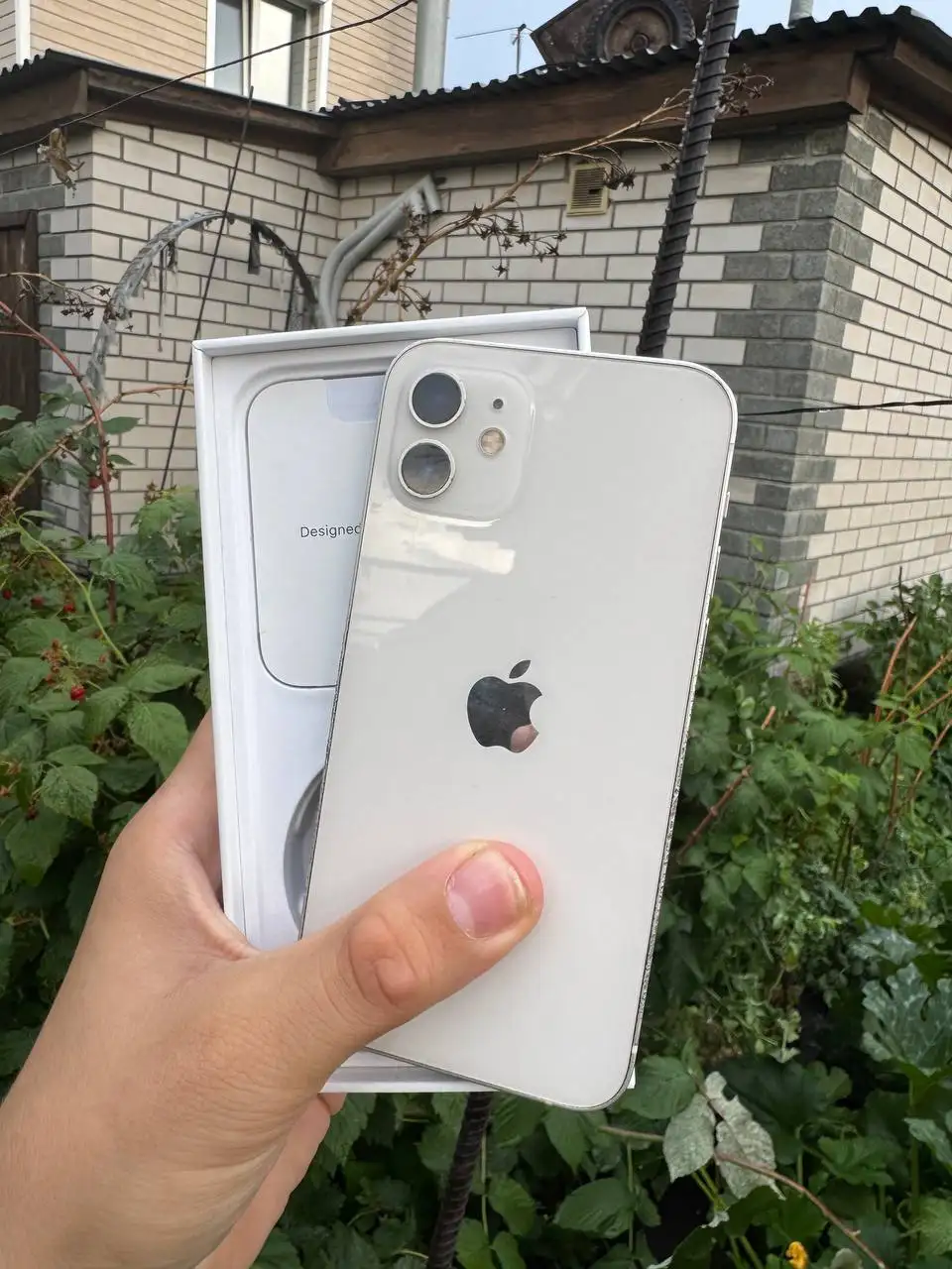 iPhone 12 64GB в отличном состоянии - Смартфоны и телефоны (Электроника) в Барнаул