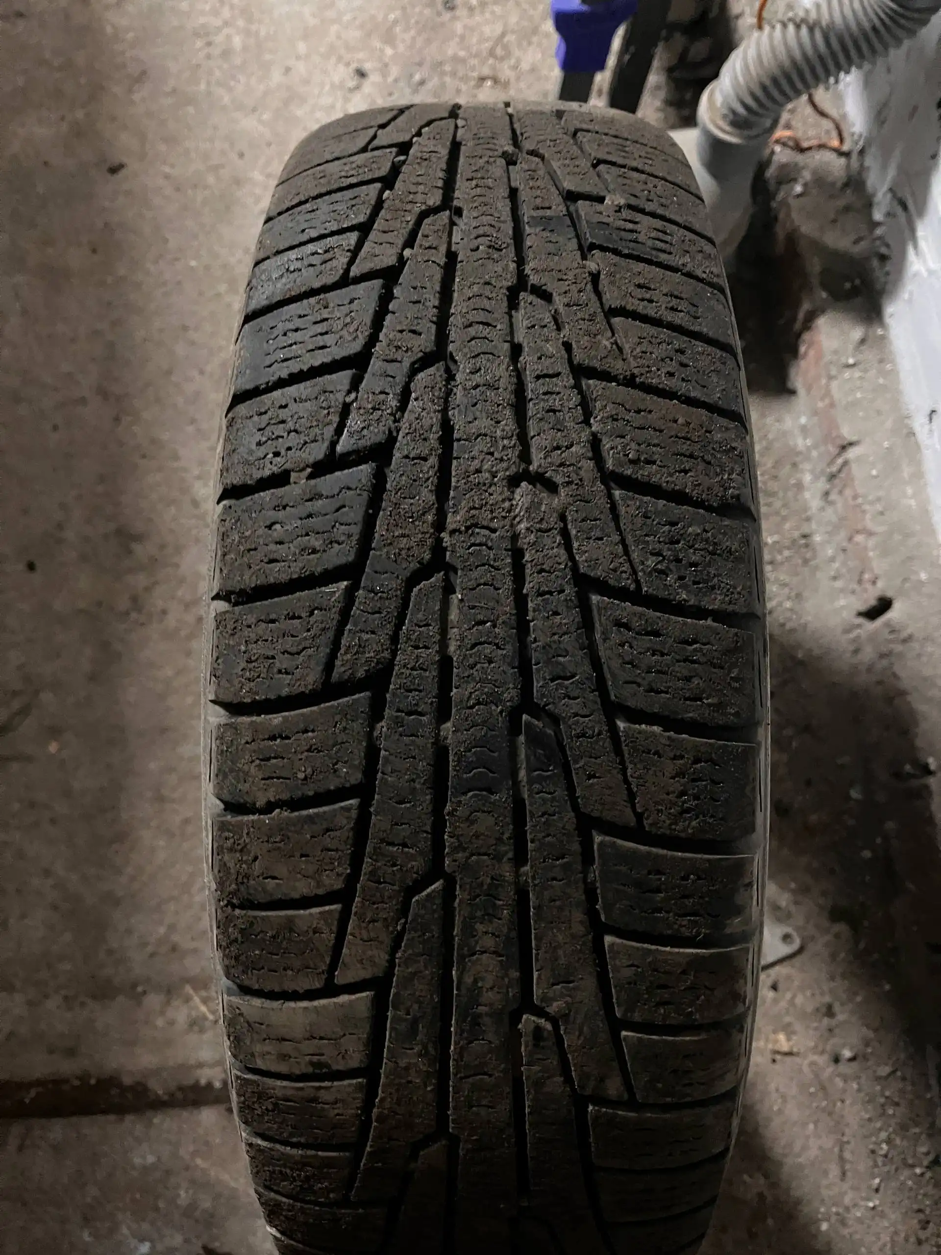 Продажа резины Nordman RS2