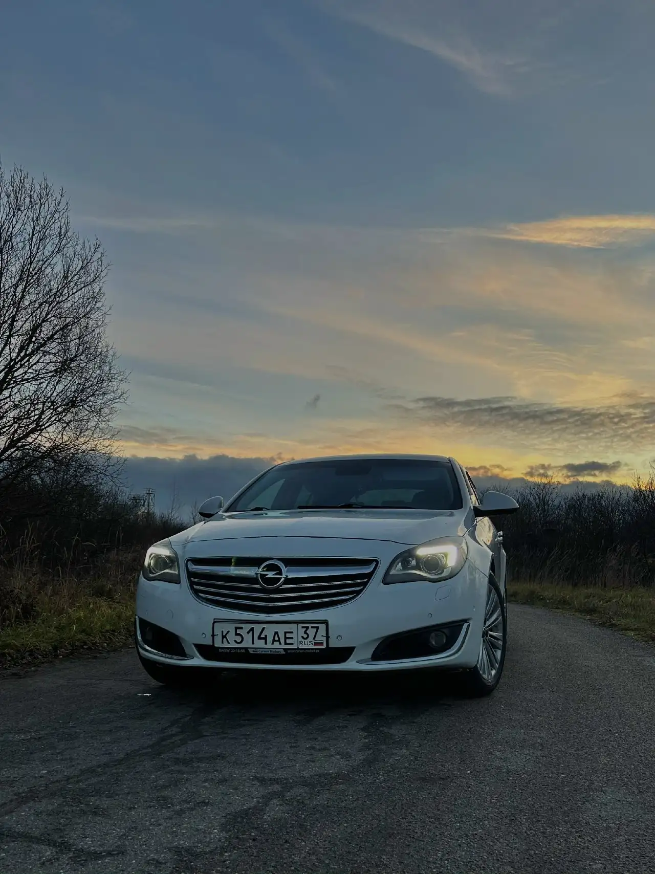 Opel Insignia 2014 года с дизельным двигателем 2.0 - Легковые автомобили (Авто) в Родники