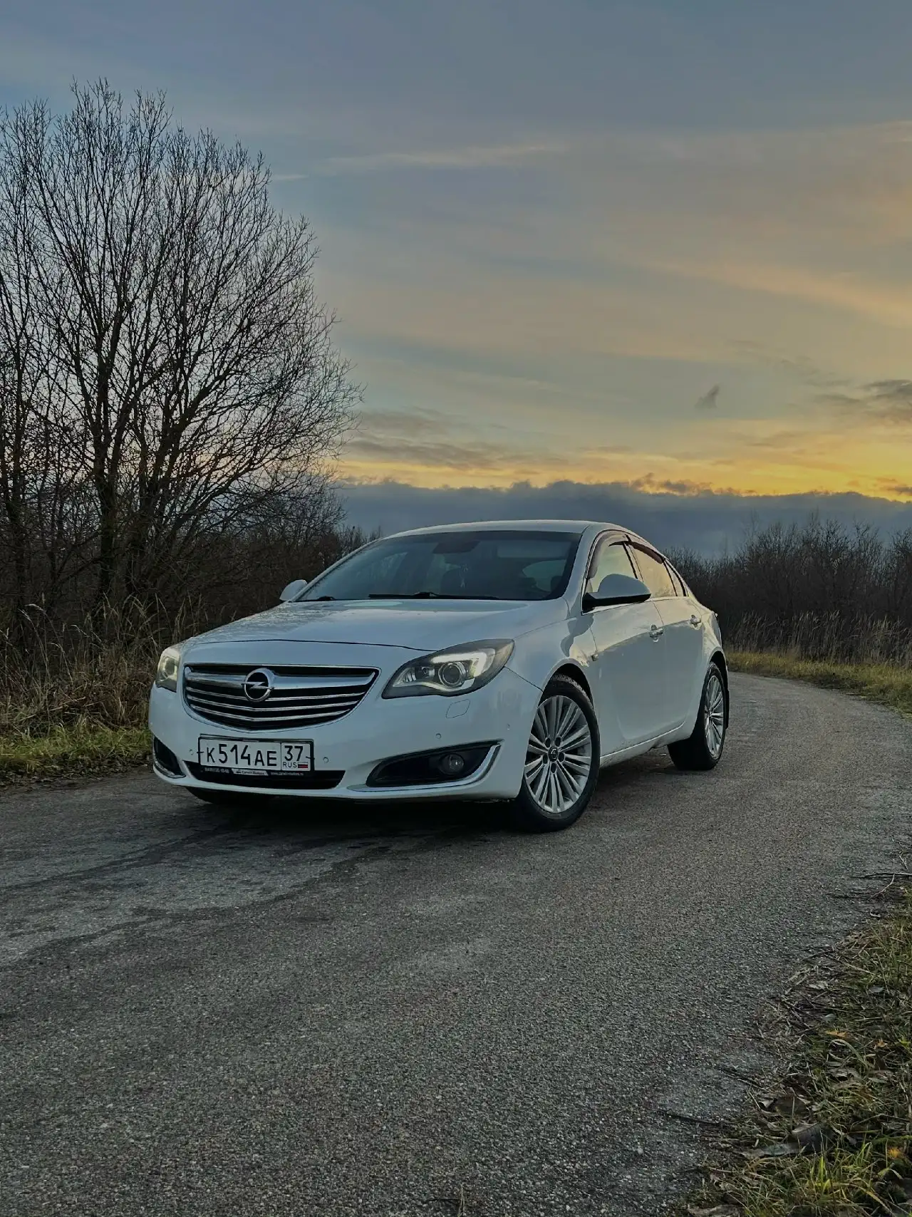 Opel Insignia 2014 года с дизельным двигателем 2.0 - Легковые автомобили (Авто) в Родники