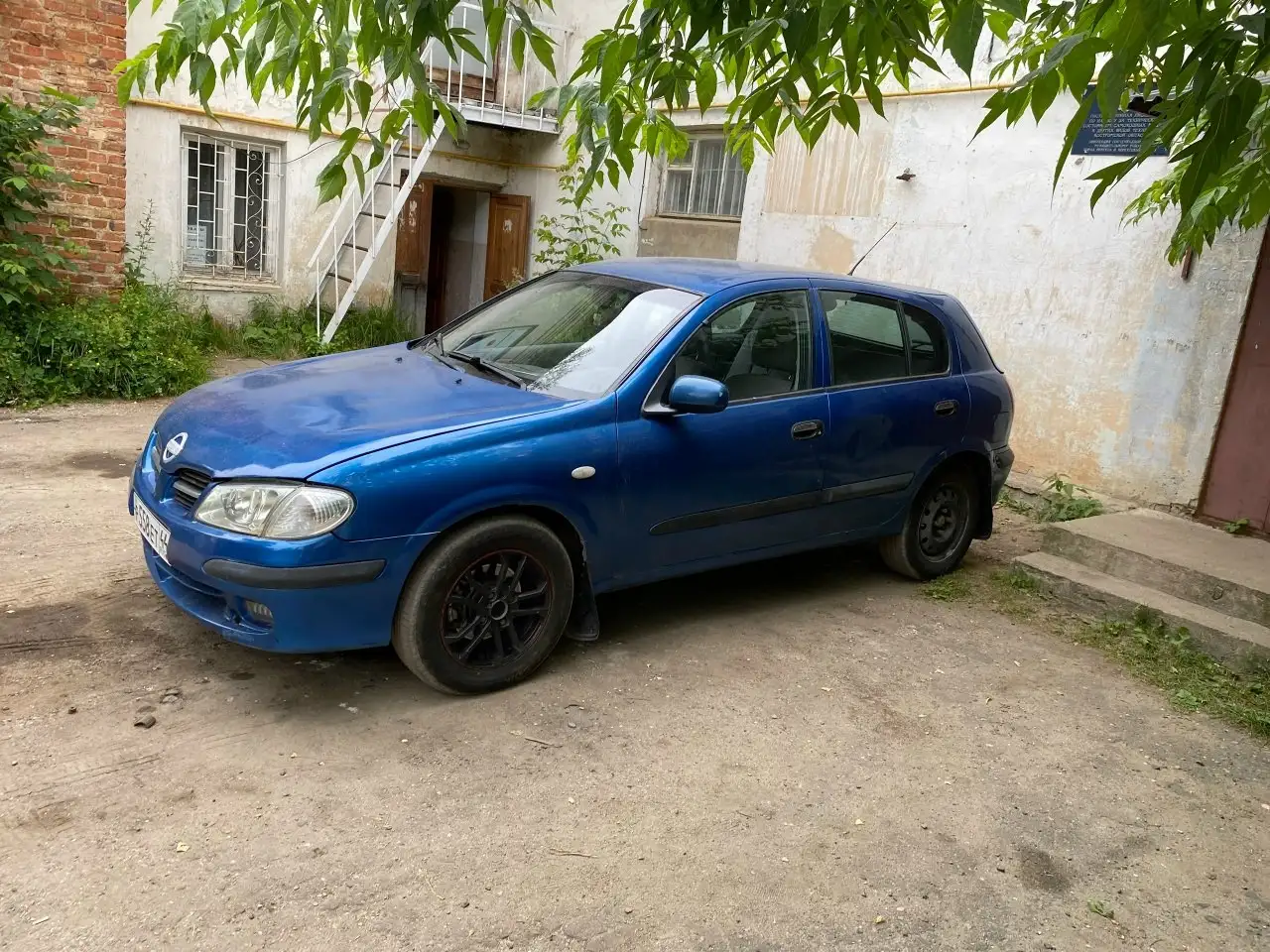 Чистокровный цепной японец - Автомобили (Авто) в Ярославль