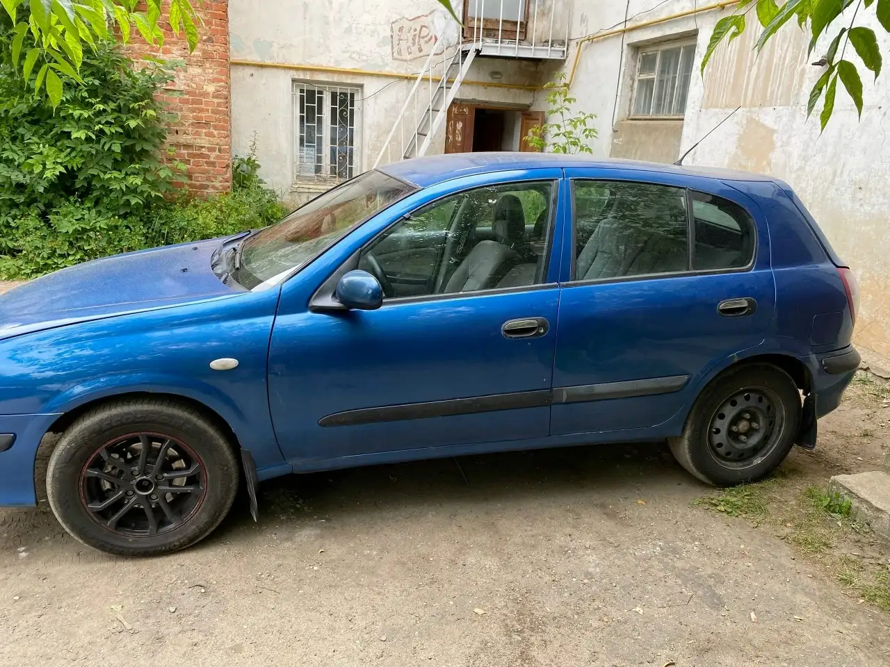Чистокровный цепной японец - Автомобили (Авто) в Ярославль