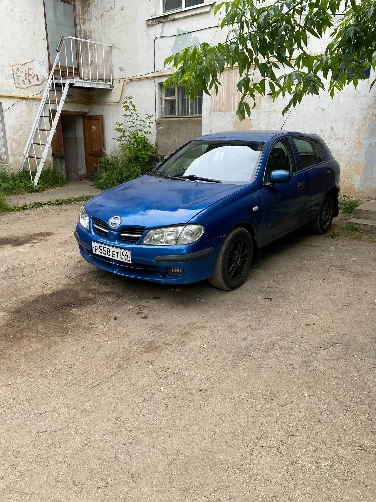 Чистокровный японец - Авто в Ярославль