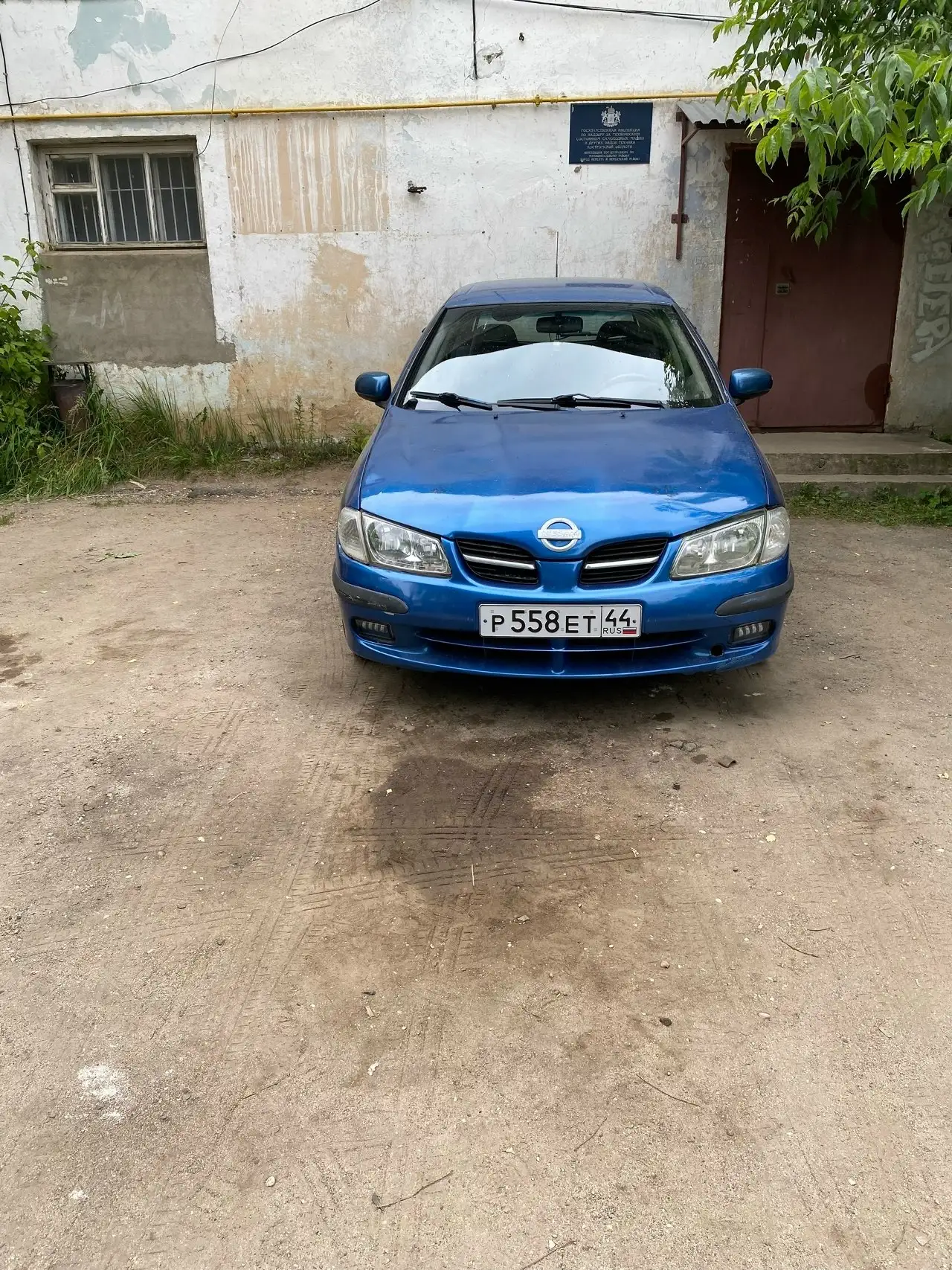 Чистокровный японец - Авто в Ярославль