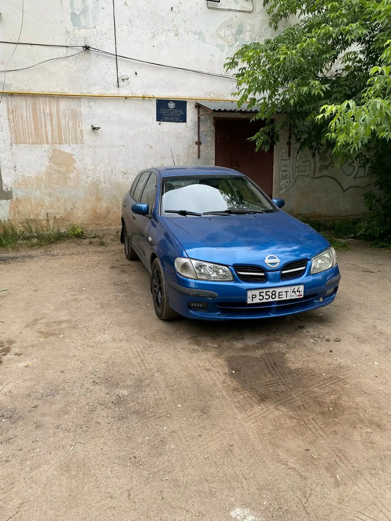 Чистокровный японец - Авто в Ярославль