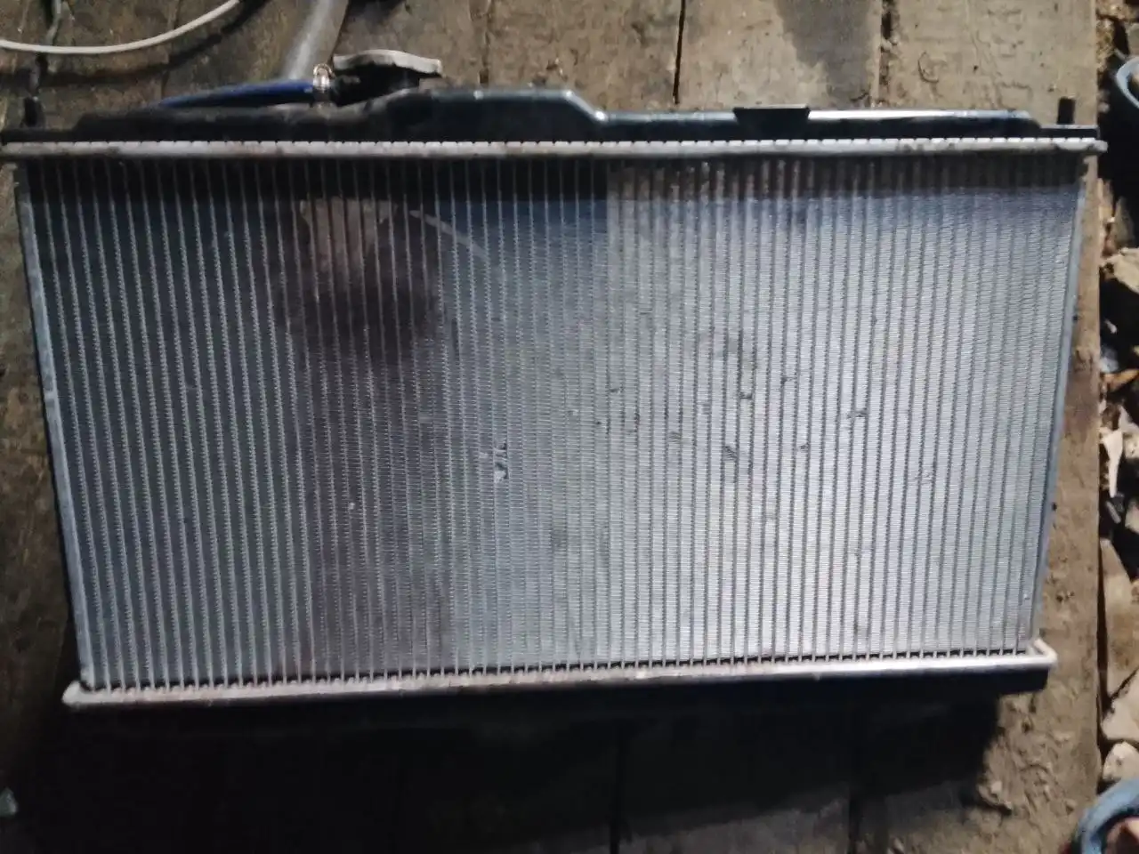 Продажа нового Радика