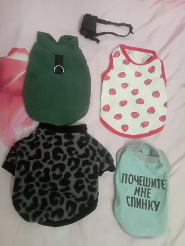 Продажа лотка, одежды и аксессуаров для маленьких собак и кошек - частное объявление в Березовка