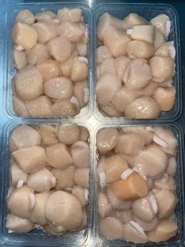 Свежий дикий гребешок - Барахолка в Хабаровск