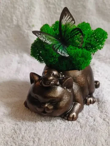 Выездной мастер-класс по раскрашиванию фигурок котиков - Автомобильные услуги в Хабаровск