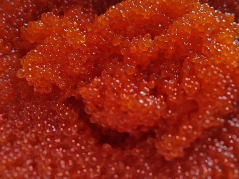 Икра кеты охлажденная малосольная - Аквариумистика в Хабаровск