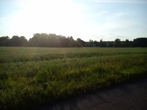 Продажа 14 гектаров пахотных земель в селе Благодатное - Земельные участки в Благодатное