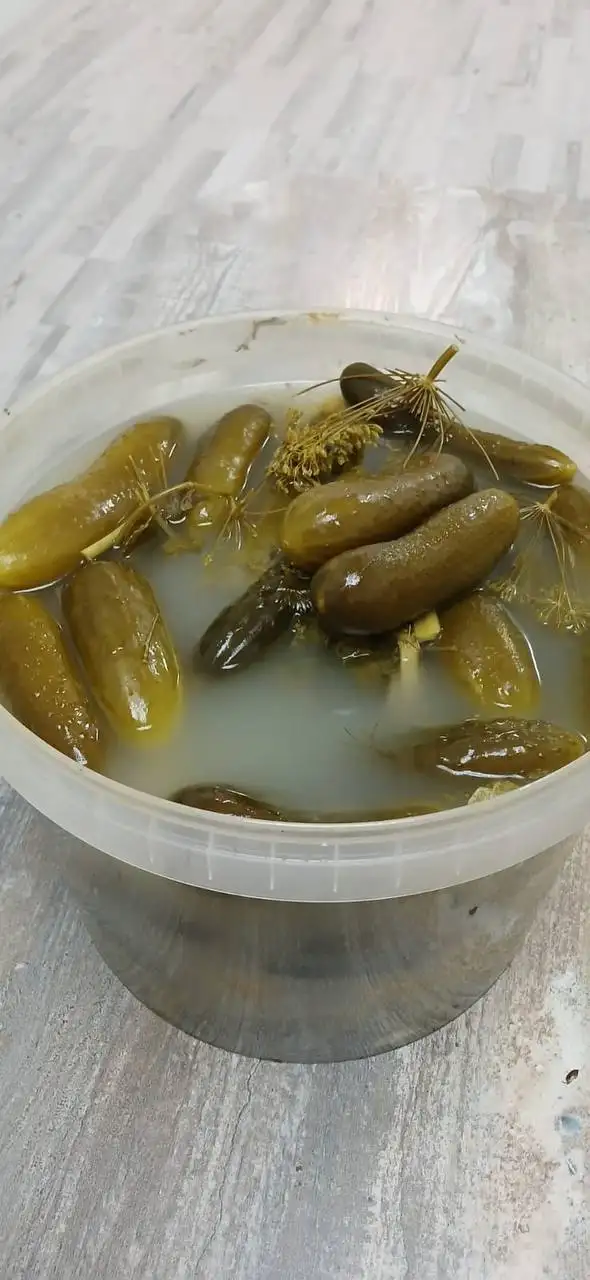 Продам бочковые огурцы 1,5 кг - Барахолка в Хабаровск