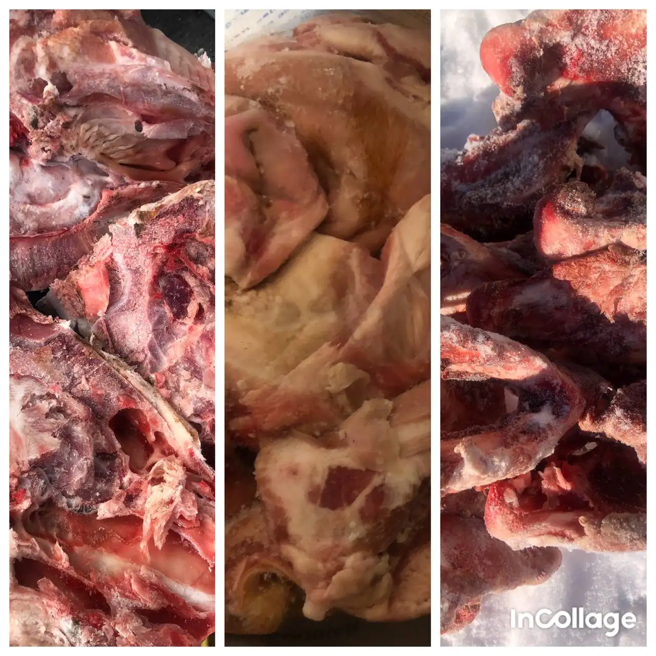 Продажа костей с мясом и обрези - Продукты питания (Барахолка) в Хабаровск