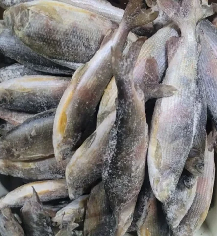 Свежий хариус - Одежда для беременных в Хабаровск