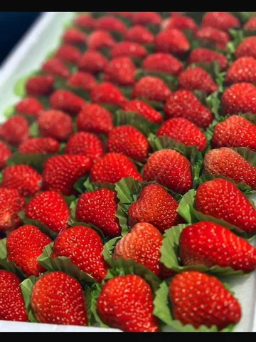 Продажа клубники в Хабаровске - Барахолка в Хабаровск