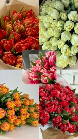 Предзаказ пионовидных тюльпанов к 8 марта в Хабаровске - Спорт и фитнес в Хабаровск