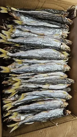 Свежая корюшка зубатка с Камчатки - Канцелярия в Хабаровск