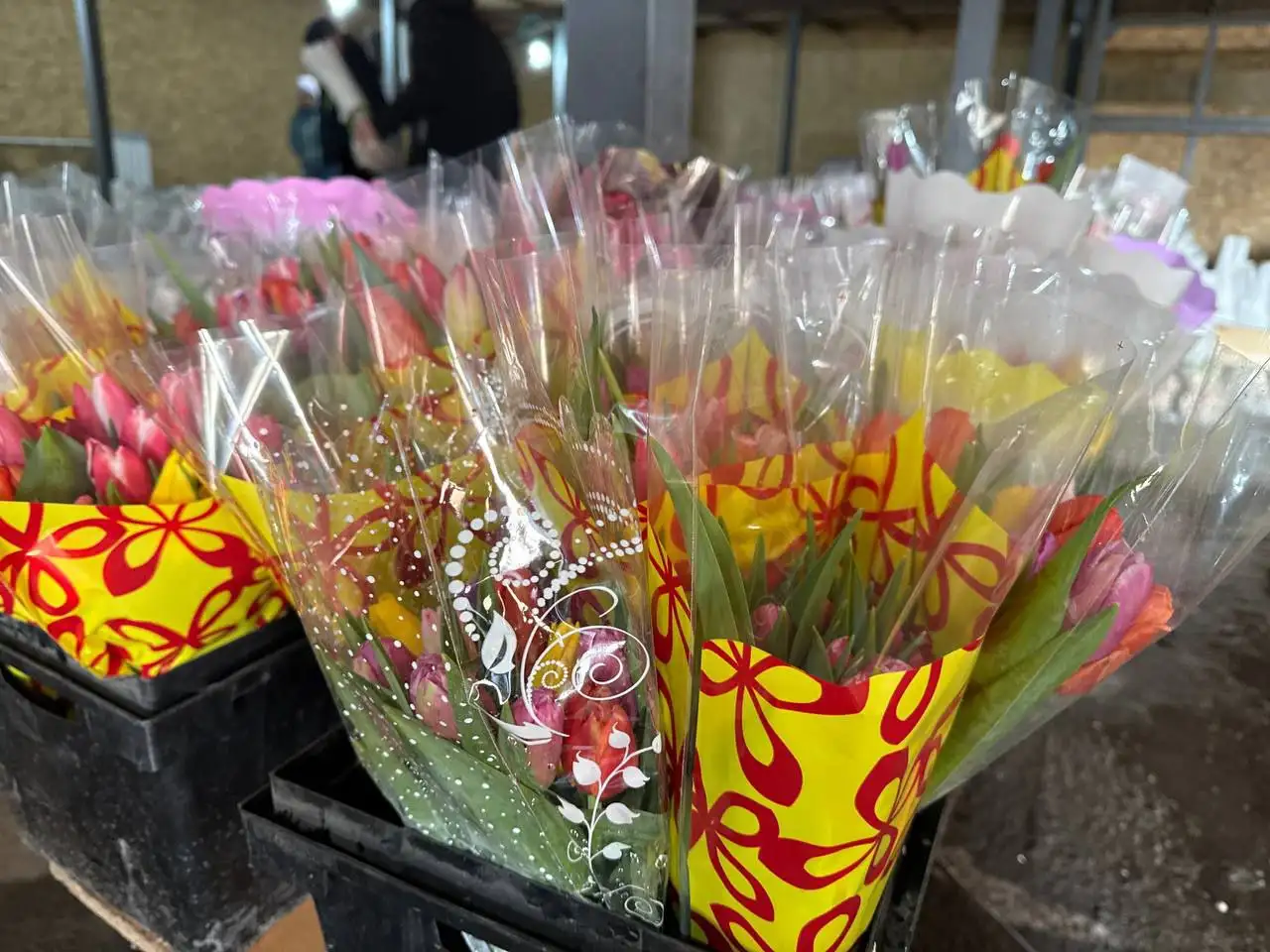 Тюльпаны оптом от 15 штук - Цветы (Хобби и отдых) в Хабаровск