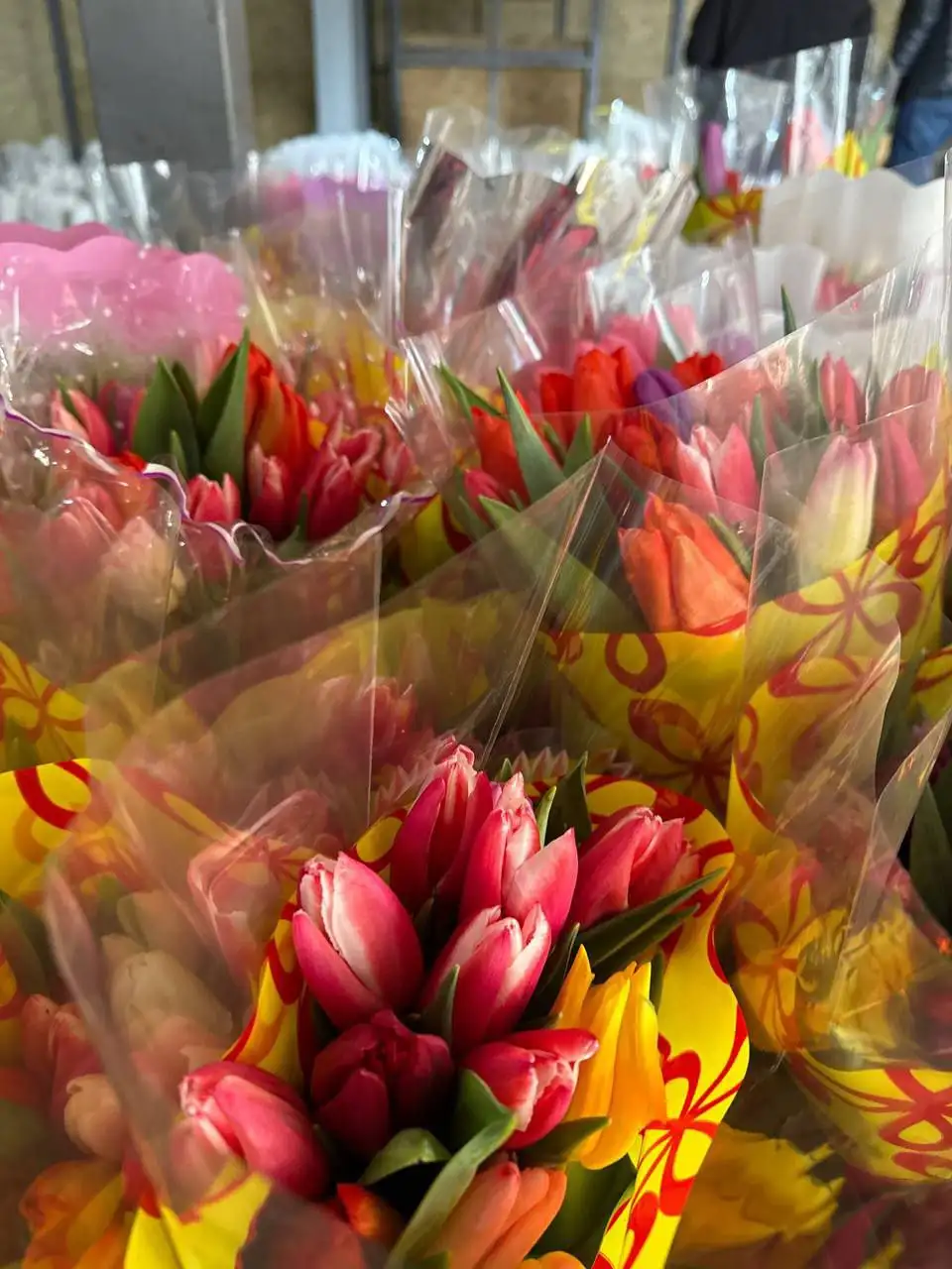 Тюльпаны оптом от 15 штук - Цветы (Хобби и отдых) в Хабаровск