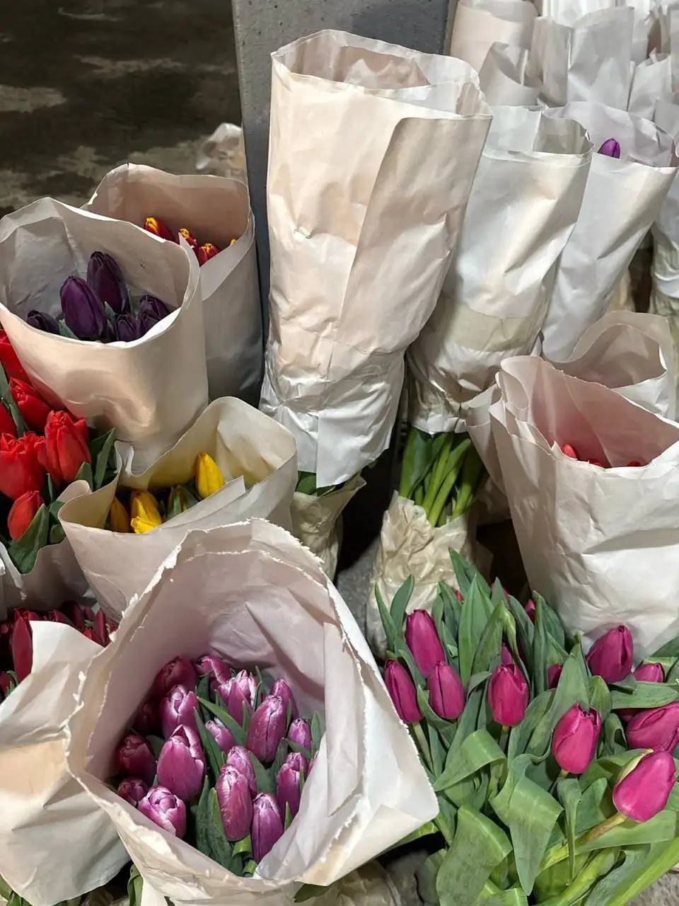 Тюльпаны оптом от 15 штук - Цветы (Хобби и отдых) в Хабаровск