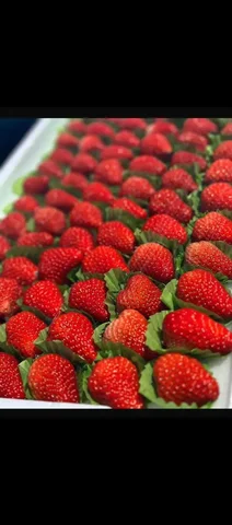 Распродажа клубники в магазине - Канцелярия в Хабаровск