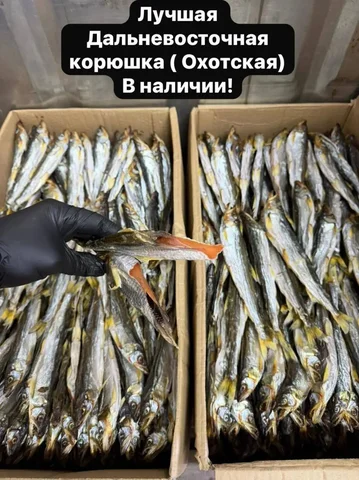 Продажа рыбы и морепродуктов оптом и в розницу - Канцелярия в Хабаровск