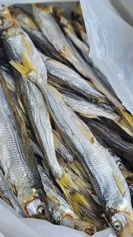 Корюшка зубатка свежая с Камчатки - Детские товары в Хабаровск
