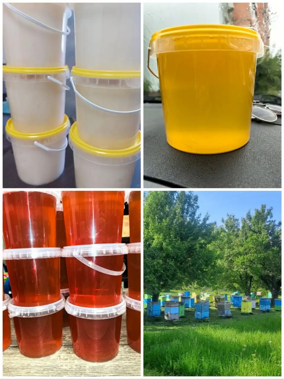 Мед липовый и липовый-аралиевый 2025г - Продукты питания (Барахолка) в Хабаровск