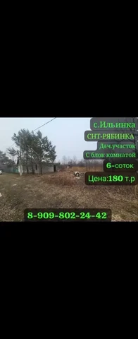Объявление в Хабаровске - Сладости в Хабаровск